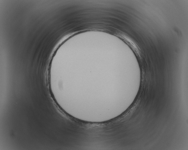 X0000116330808200912291551