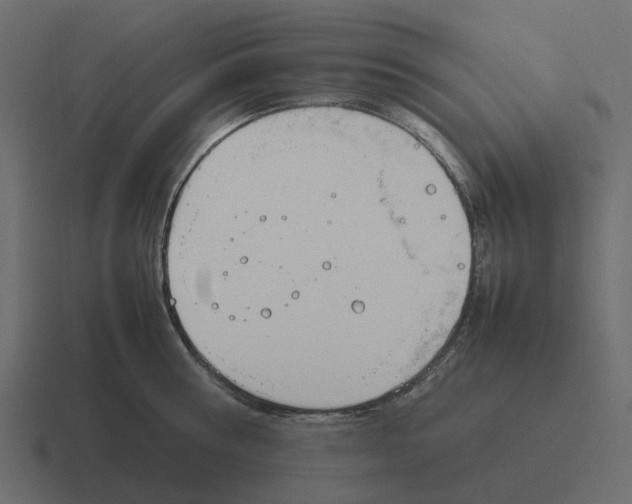 X0000116330810200912291551