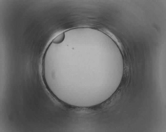 X0000116330811200912291551