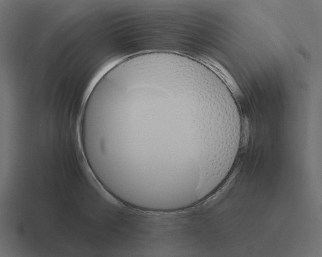 X0000116330812200912291551