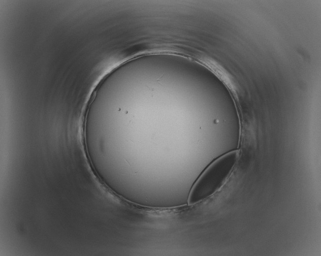 X0000116330813200912291551