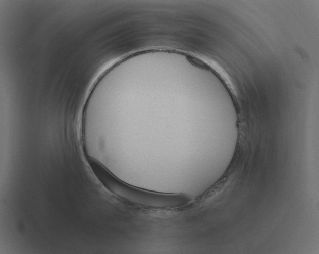 X0000116330815200912291551