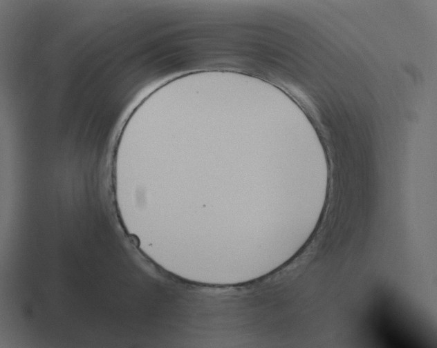 X0000116330816200912291551