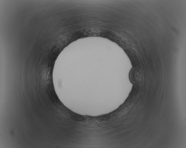 X0000116330818200912291551