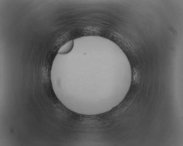 X0000116330819200912291551