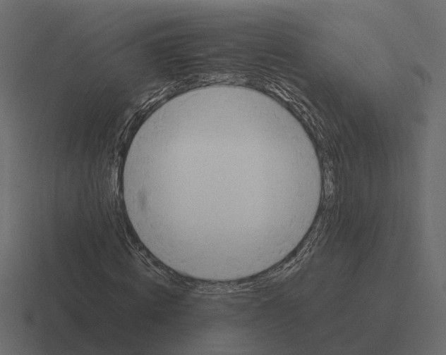 X0000116330820200912291551