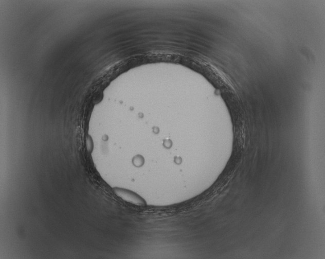 X0000116330821200912291551