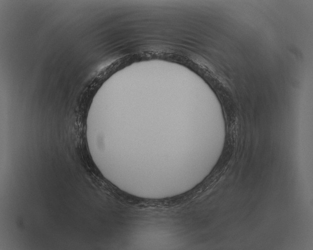 X0000116330822200912291551