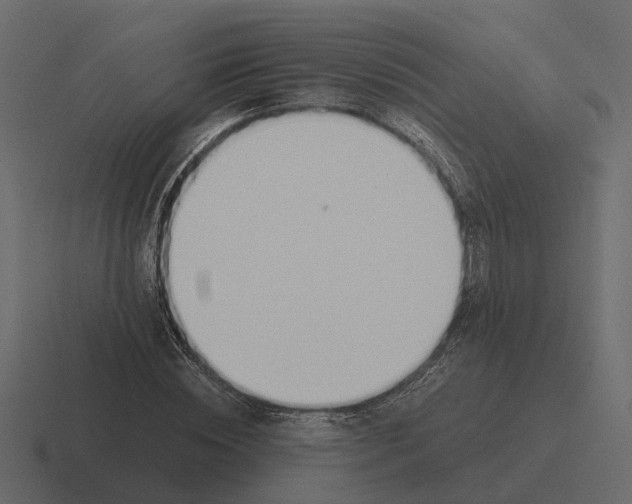 X0000116330828200912291551