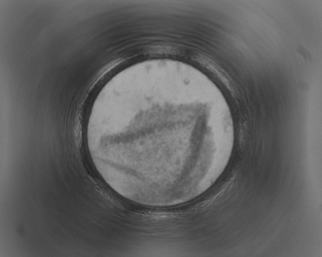 X0000116330829200912291551