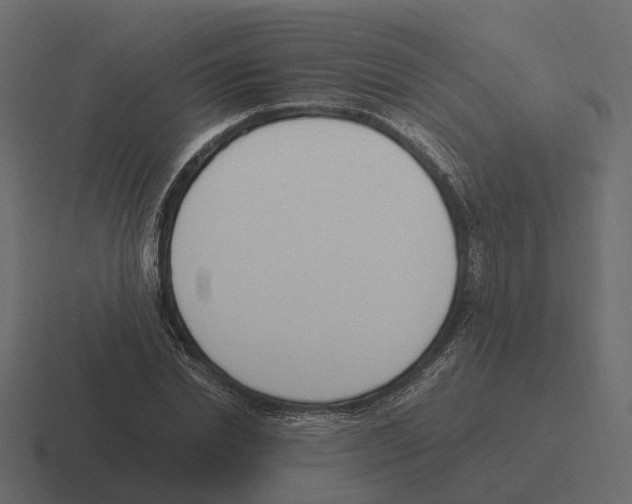 X0000116330830200912291551