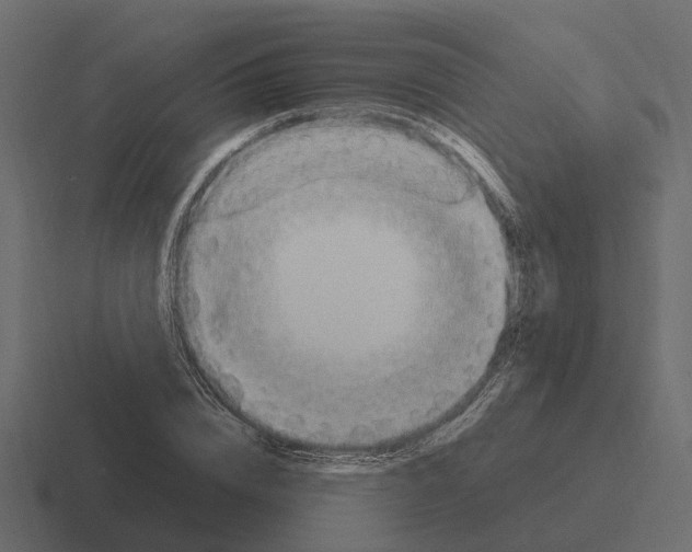 X0000116330832200912291551