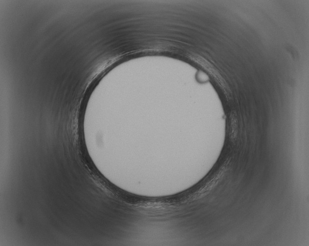 X0000116330834200912291551