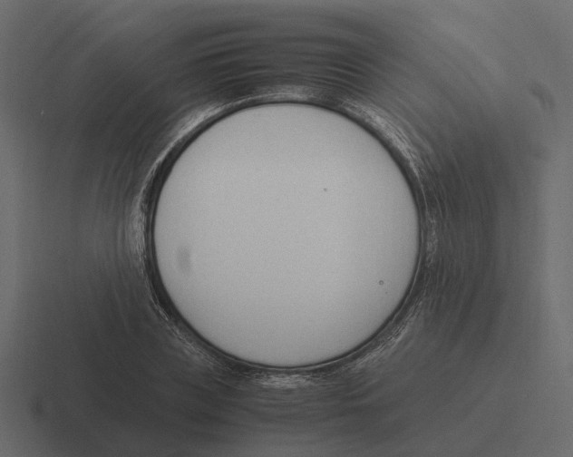 X0000116330835200912291551