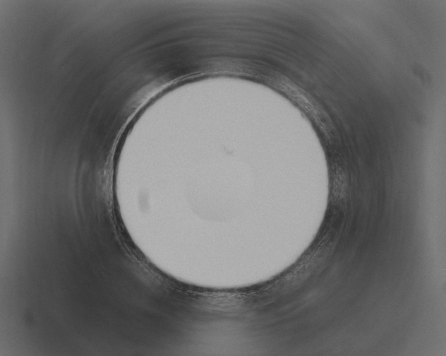 X0000116330836200912291551