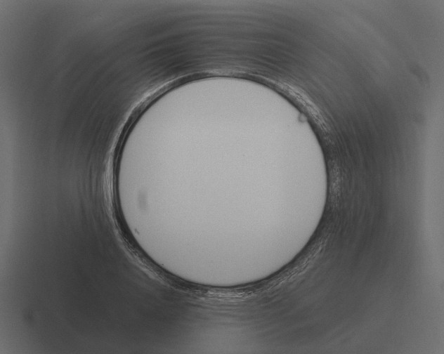 X0000116330840200912291551