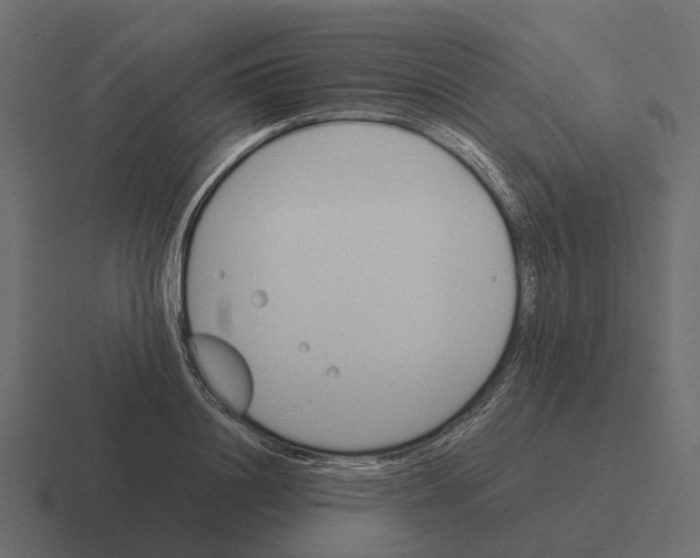 X0000116330844200912291551