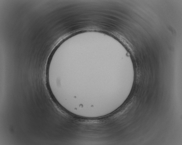 X0000116330845200912291551