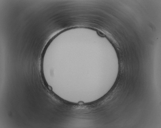 X0000116330846200912291551