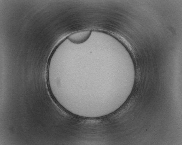 X0000116330847200912291551