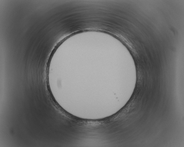 X0000116330848200912291551