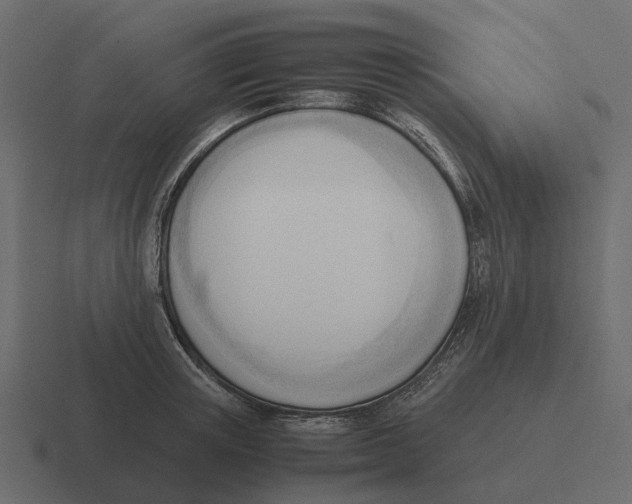 X0000116330851200912291551