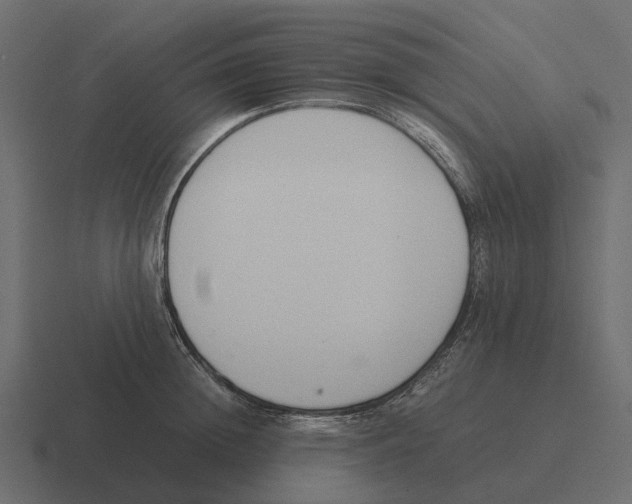 X0000116330852200912291551