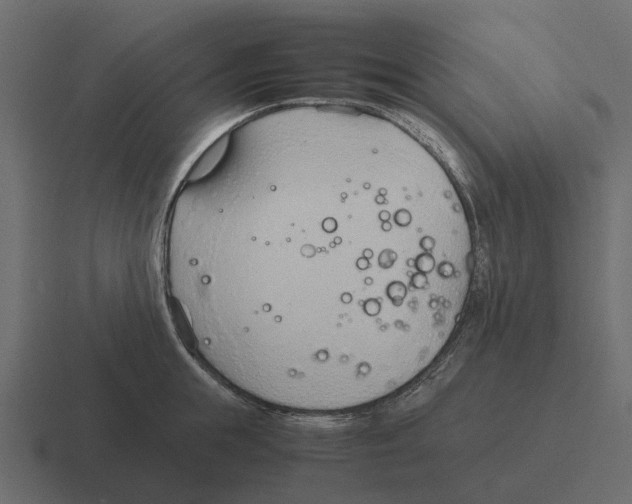 X0000116330855200912291551