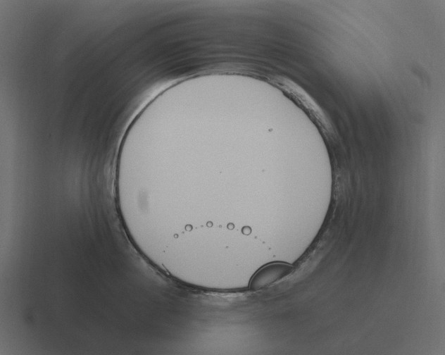 X0000116330860200912291551