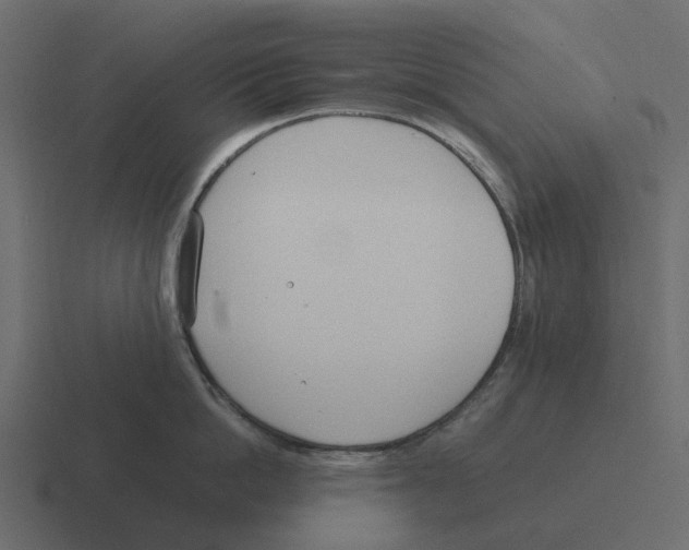 X0000116330862200912291551