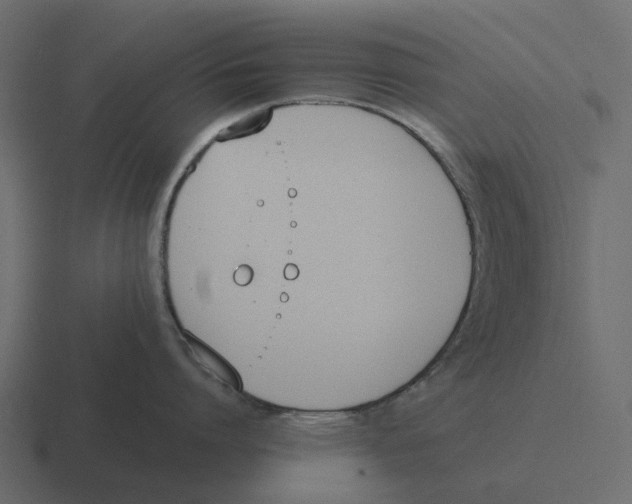 X0000116330864200912291551