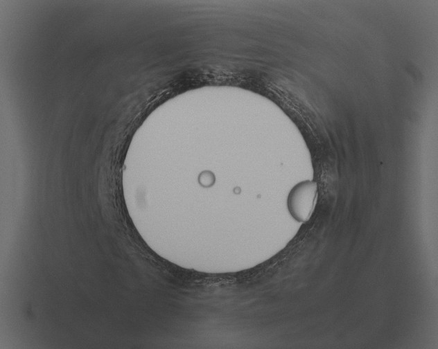 X0000116330865200912291551