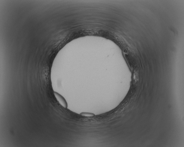 X0000116330867200912291551