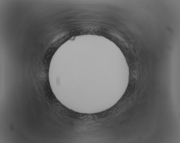 X0000116330869200912291551