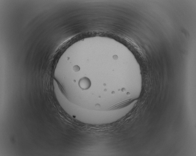 X0000116330872200912291551