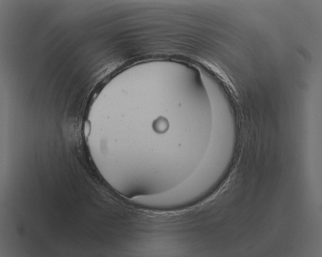 X0000116330873200912291551