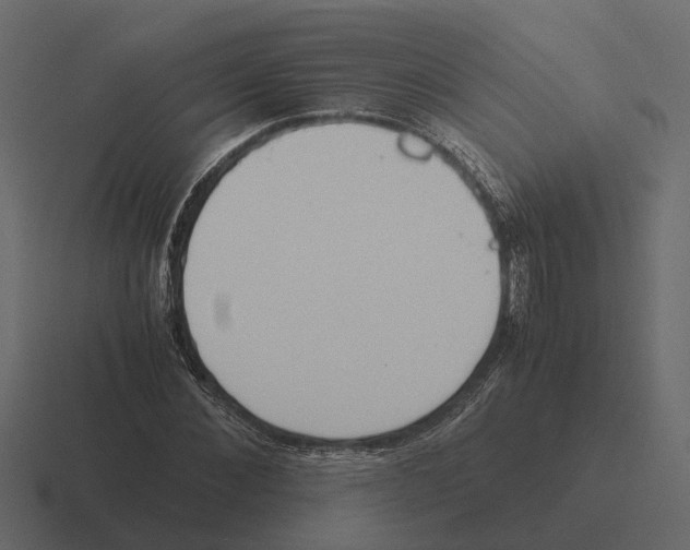 X0000116330876200912291551