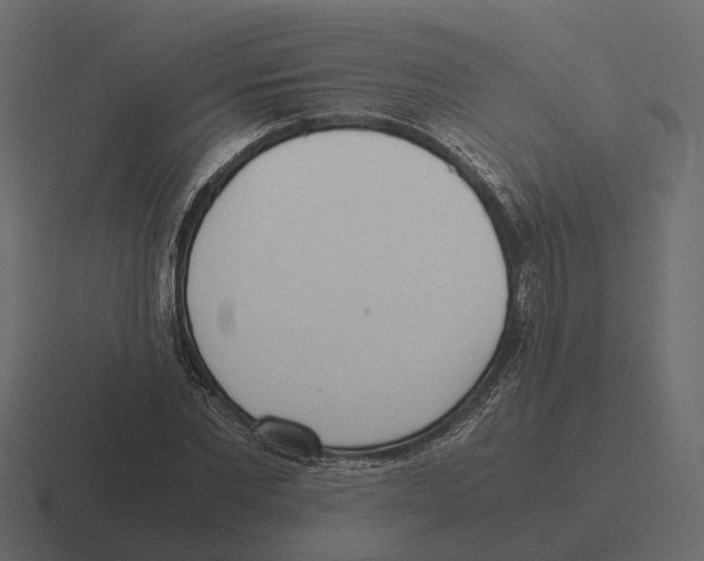 X0000116330877200912291551