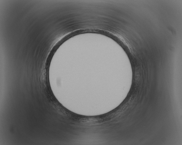 X0000116330879200912291551