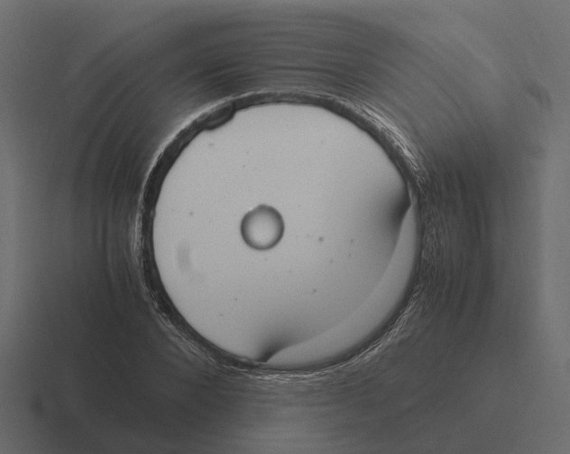 X0000116330880200912291550