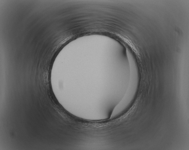 X0000116330881200912291550