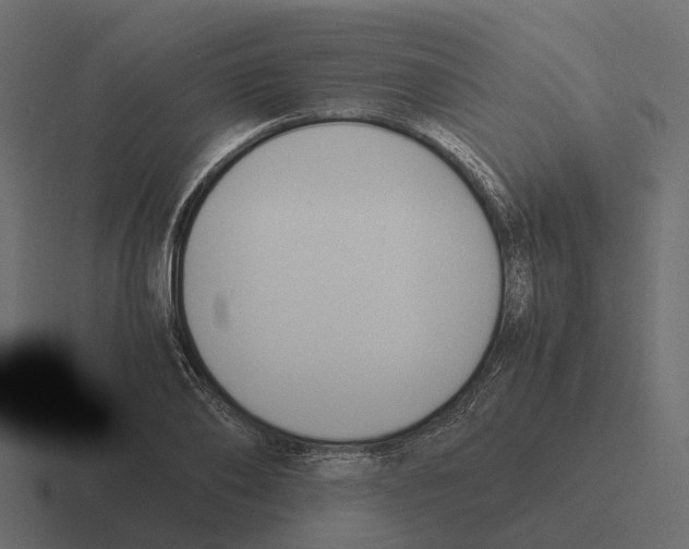 X0000116330886200912291550