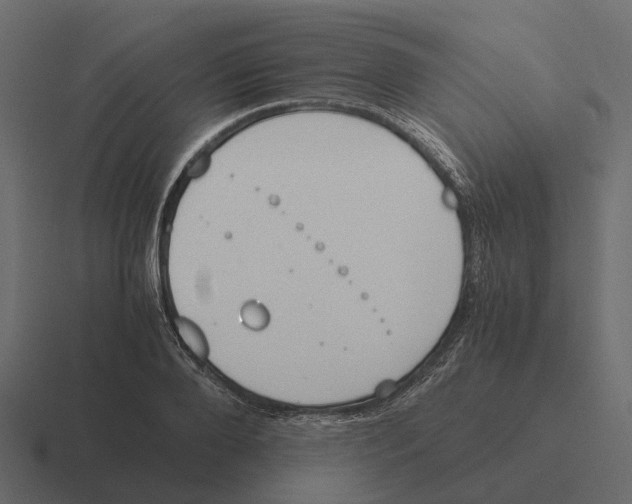 X0000116330888200912291550