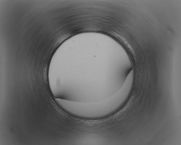 X0000116330889200912291550