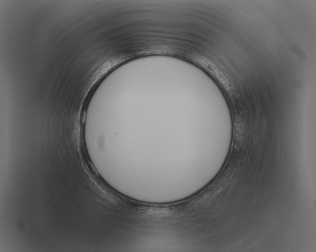 X0000116330890200912291550