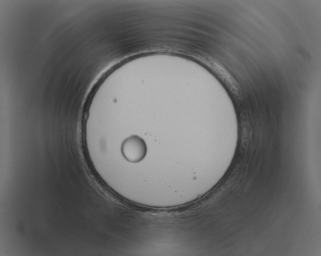 X0000116330896200912291550