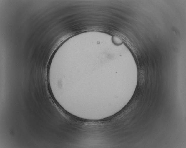 X0000116330898200912291550