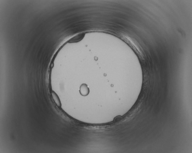 X0000116330900200912291550