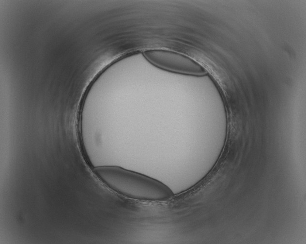 X0000116330901200912291550