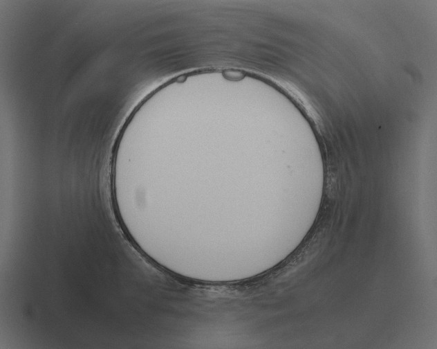 X0000116330903200912291550